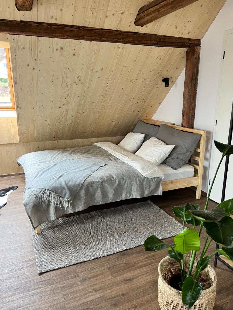 Sanky Apartmany Liberec Exterior photo